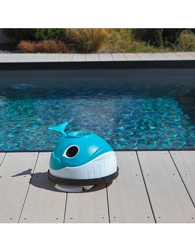 Limpiafondos de aspiración Whaly -...